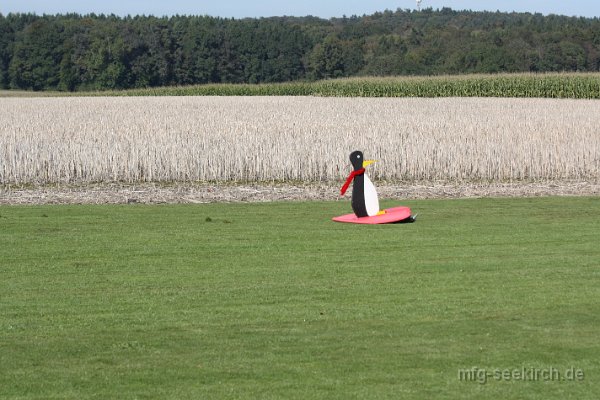 Bild (414).JPG - leider knickte der Motro bei der Landung ab, ein paar Stunden später flog der Pinguin aber wieder. Nobbe war für alles vorbereitet.